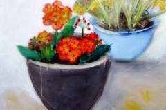 Primulas and Daffodils