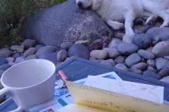 Sheba keeping an eye on my work, Las Cruces